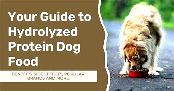 can hydrolyzed protein dog food side effects