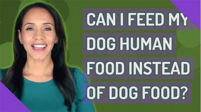 can i feed my dog human food instead of dog food