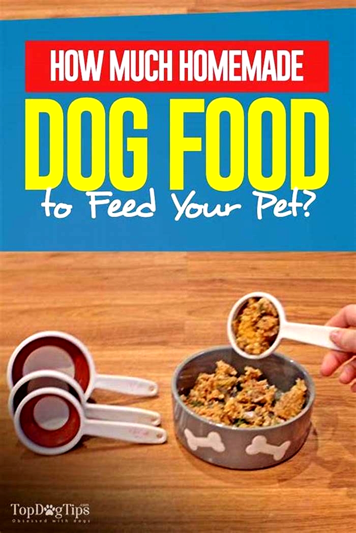 can i feed my dog only homemade food