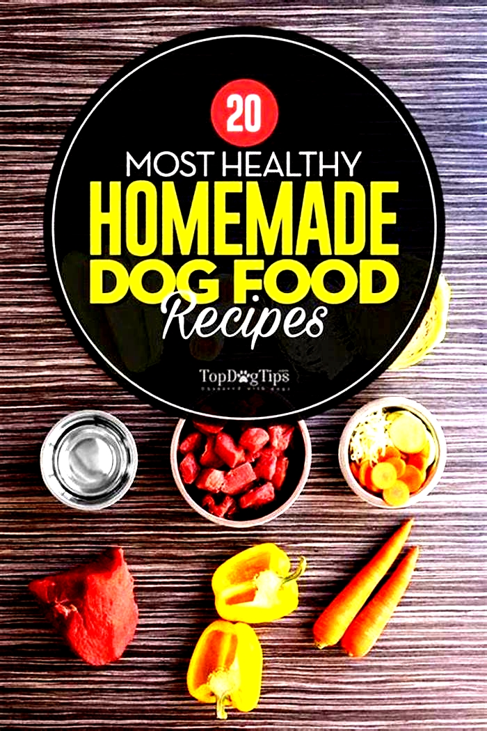 can you make healthy dog food at home