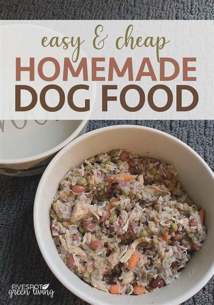 cheap easy dog food recipes