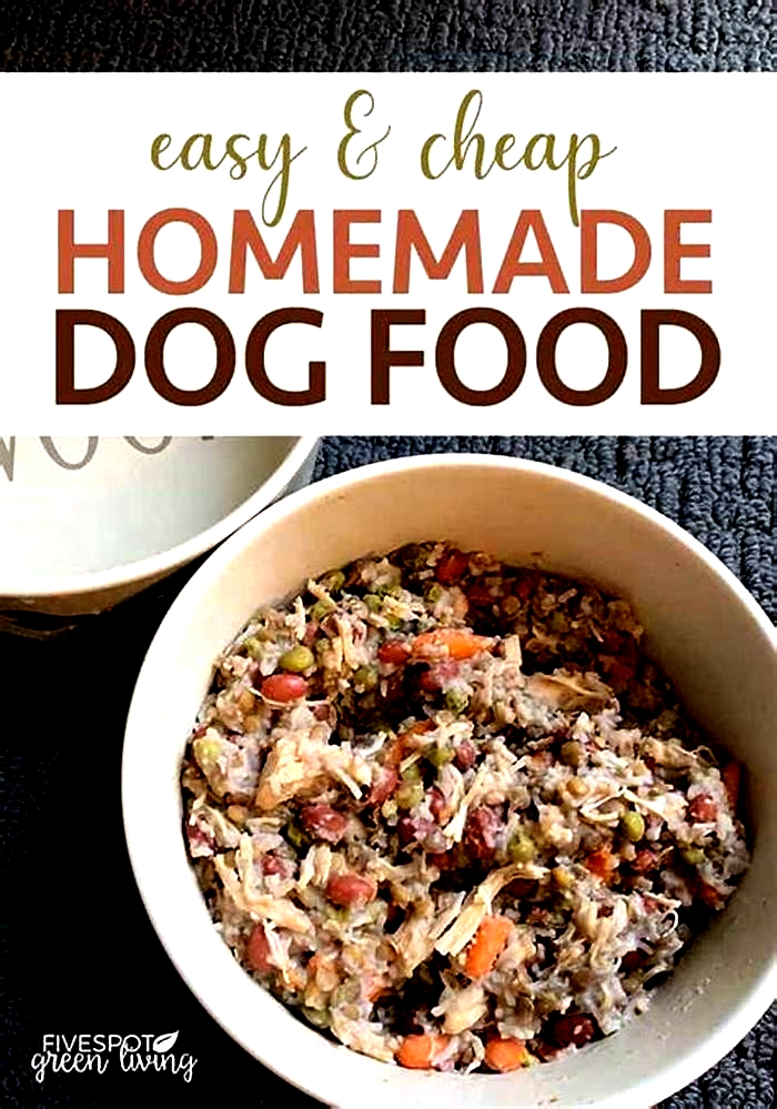 cheap easy homemade dog food