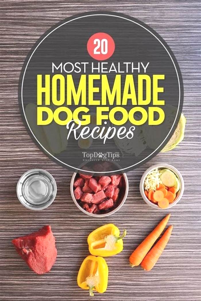 cheap homemade dog food recipes