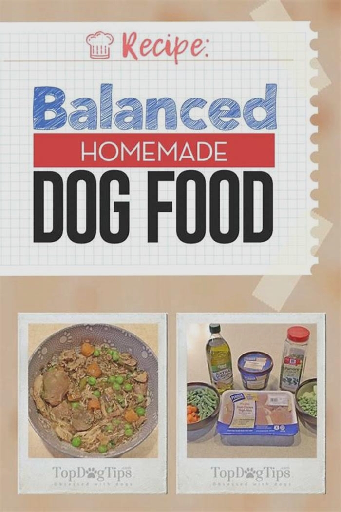 complete homemade dog food diet