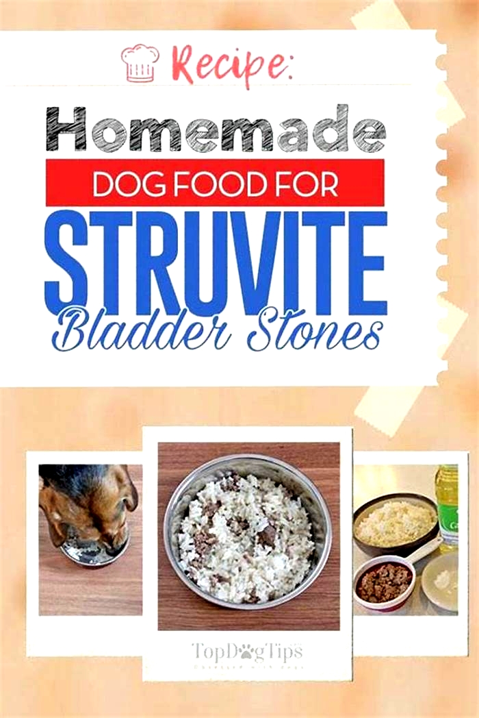 cystine stones dog diet homemade