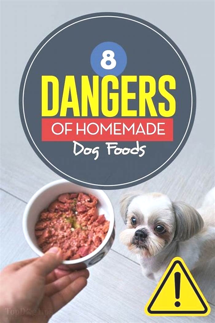 dangers of homemade dog food