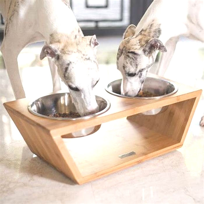 diy dog food stand