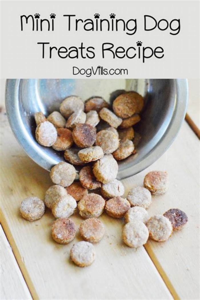 diy healthy dog training treats