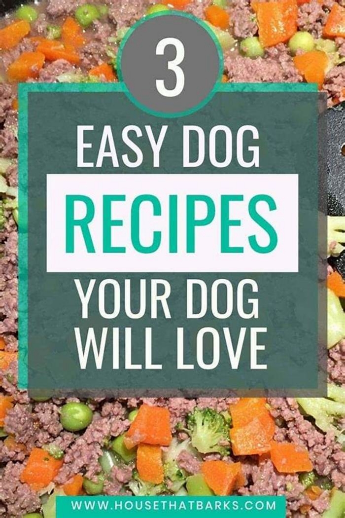 diy homemade dog food recipes vet approved