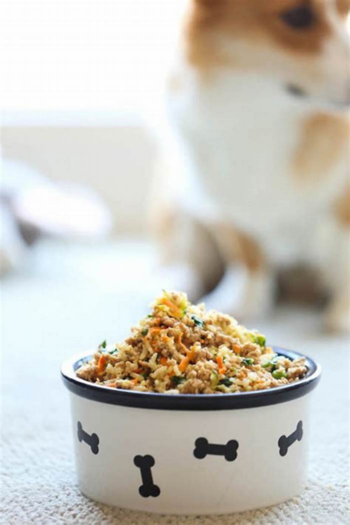 diy homemade dog food recipes