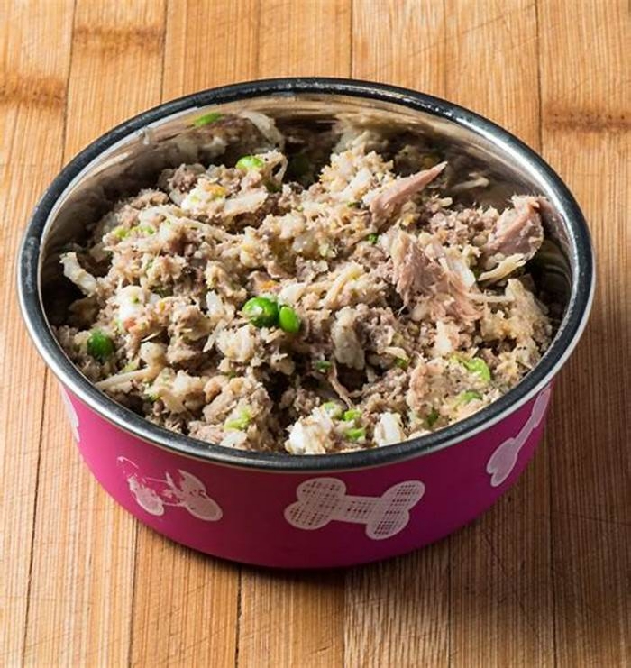 diy homemade healthy dog food