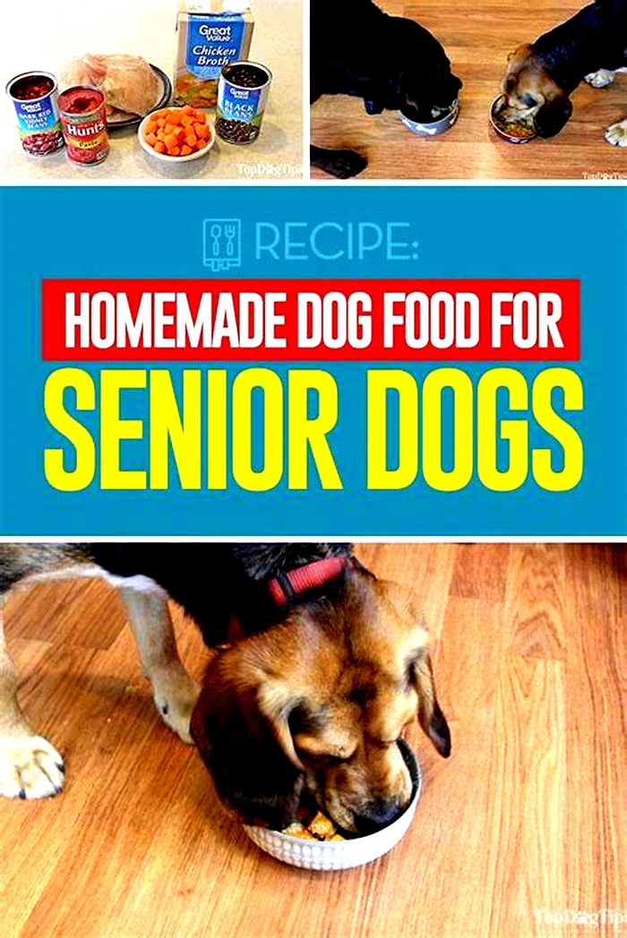 diy senior dog food