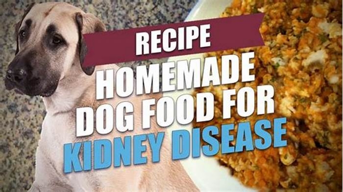 dog diet for kidney disease homemade