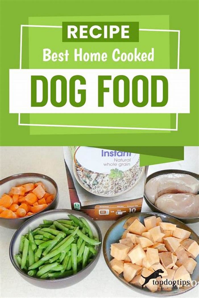 dog diet home cooked