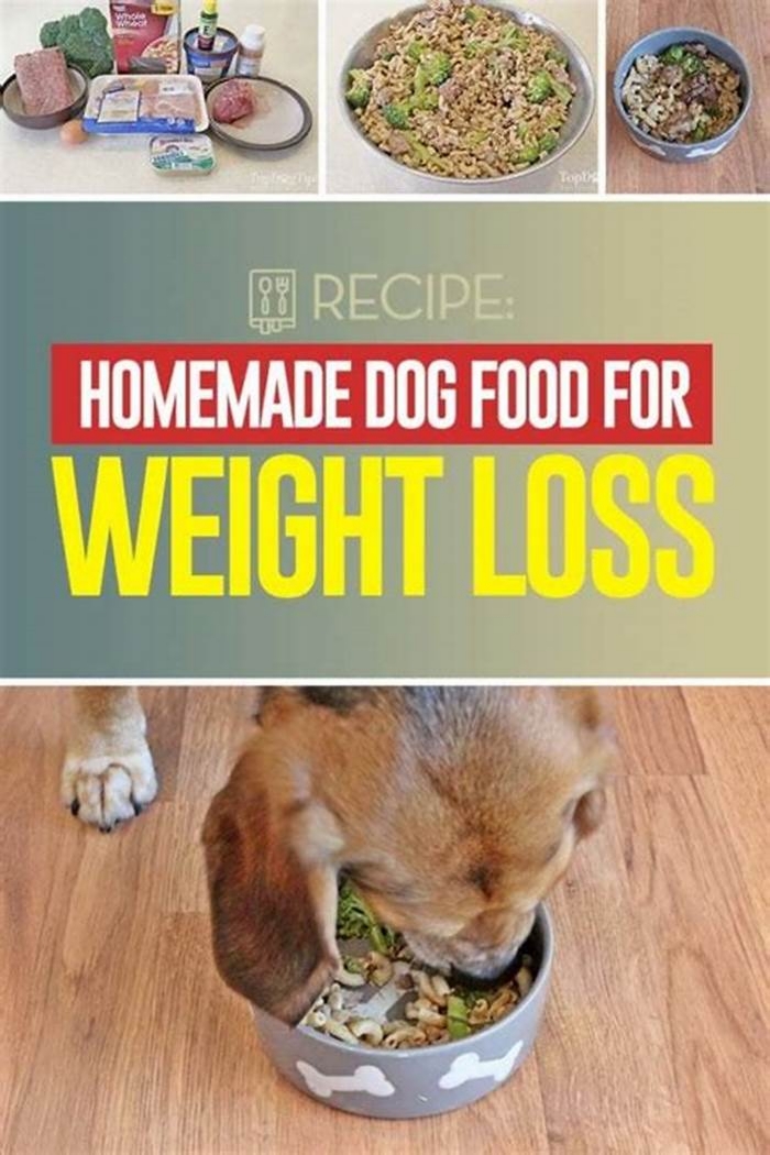 dog diet recipes for weight loss