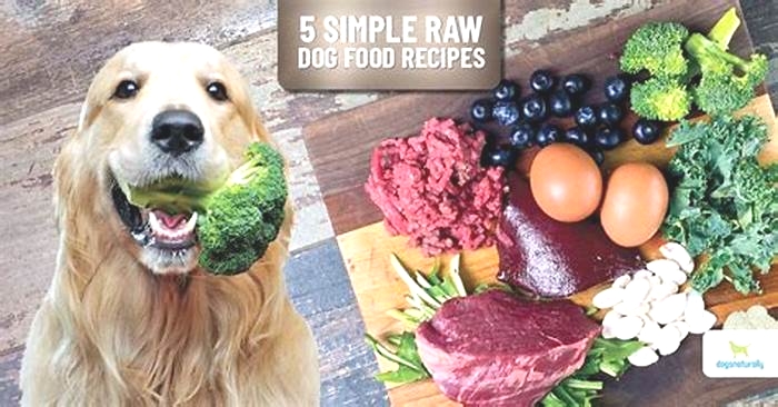 dog food raw diet recipes