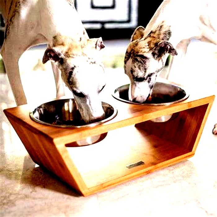 dog food stand diy