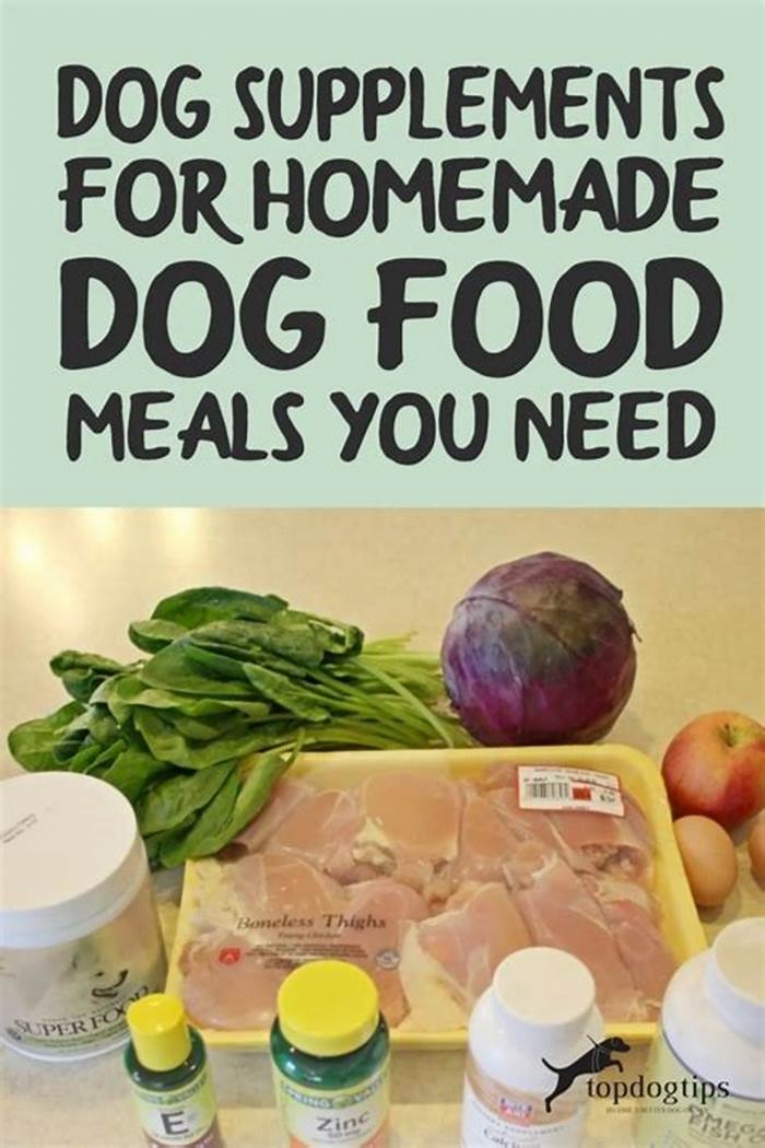 dog homemade diet supplements