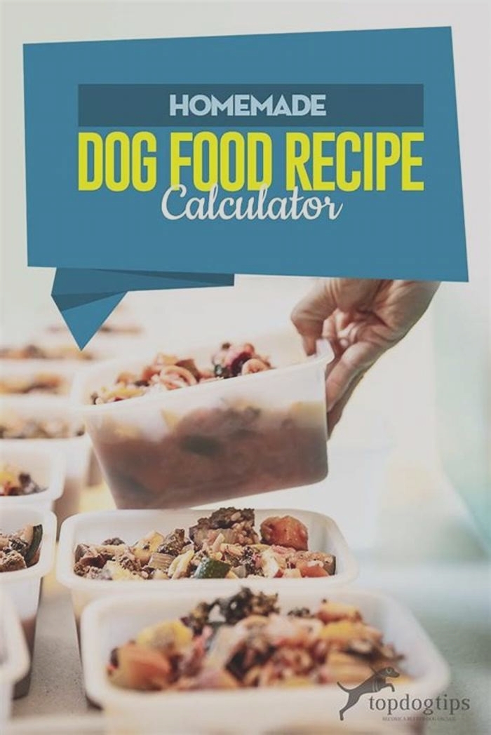 dog homemade food calculator