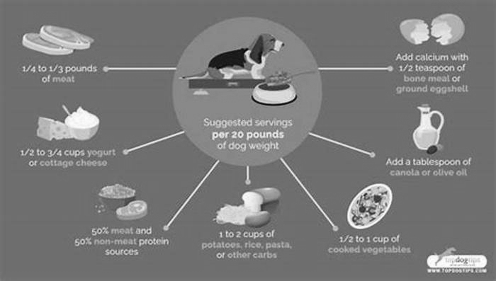 dog homemade food nutrition