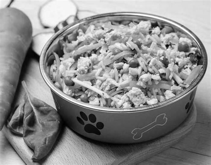 dog homemade food recipes