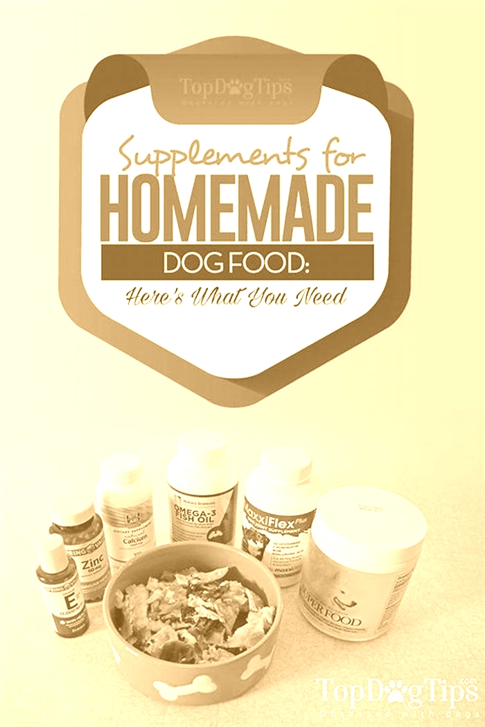 dog homemade food supplement