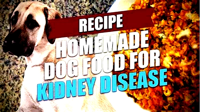 dog homemade renal diet