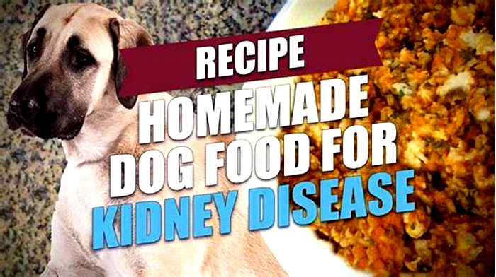 dog kidney failure diet homemade