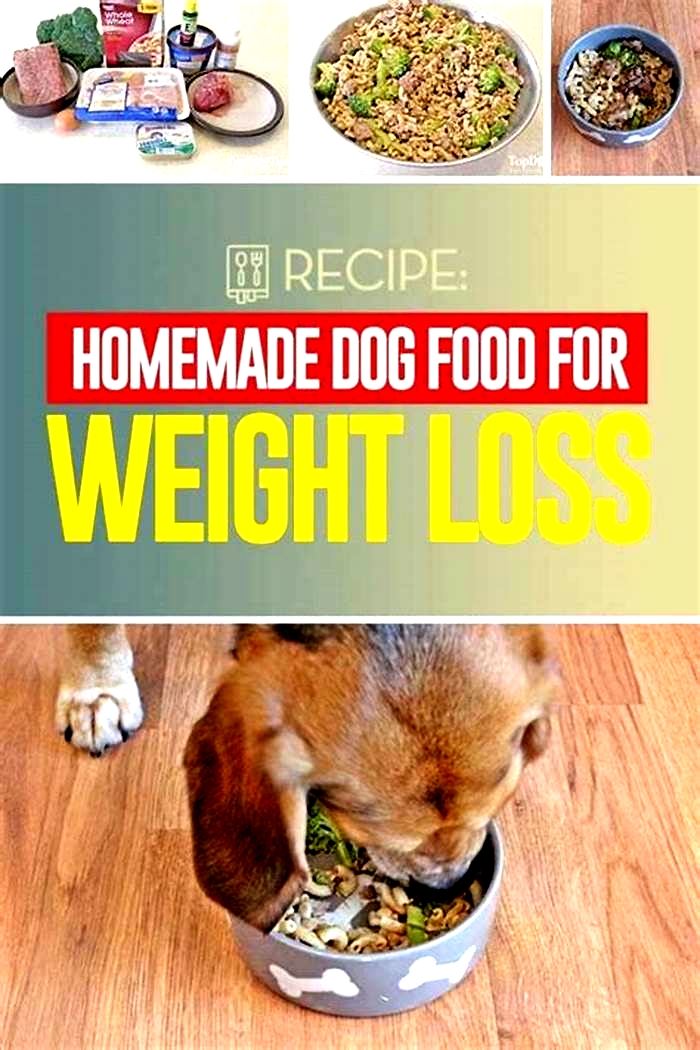 dog losing weight on homemade diet