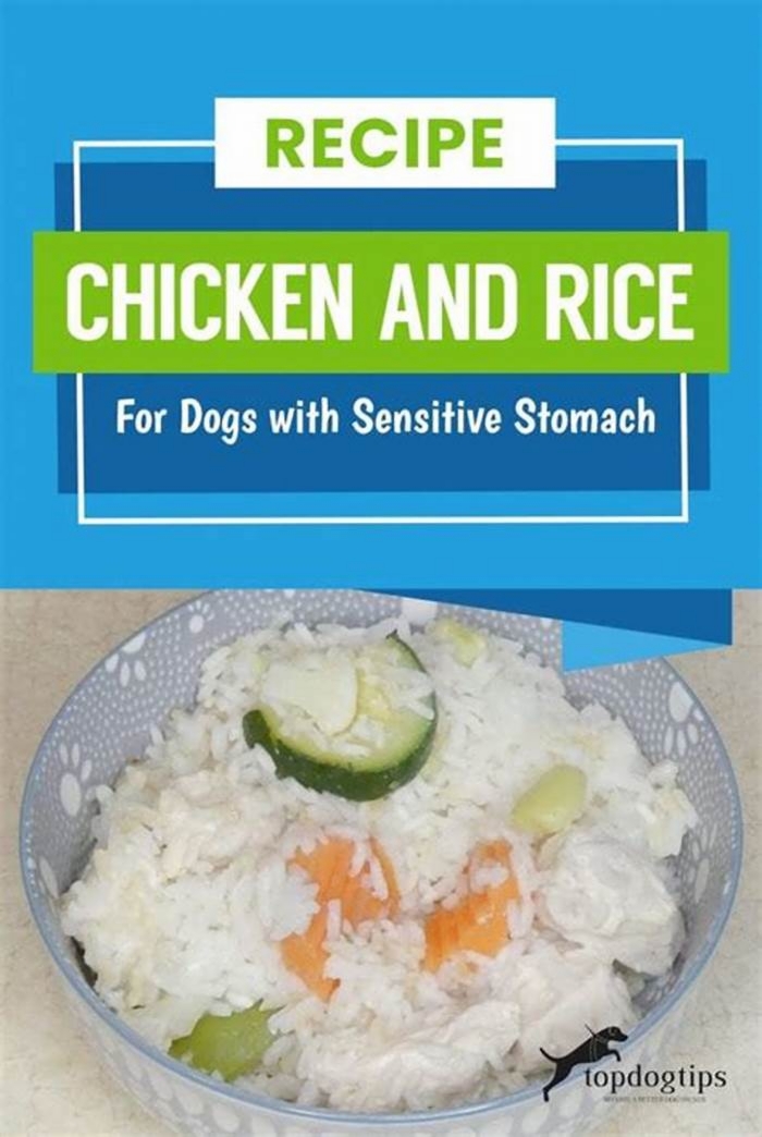 dog pancreatitis diet homemade chicken