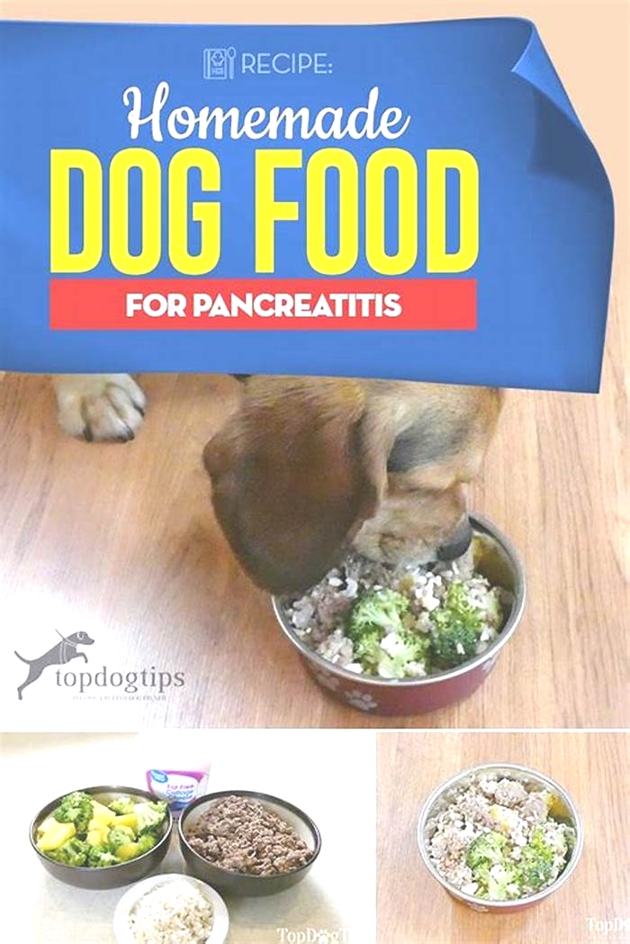 dog pancreatitis diet homemade pdf