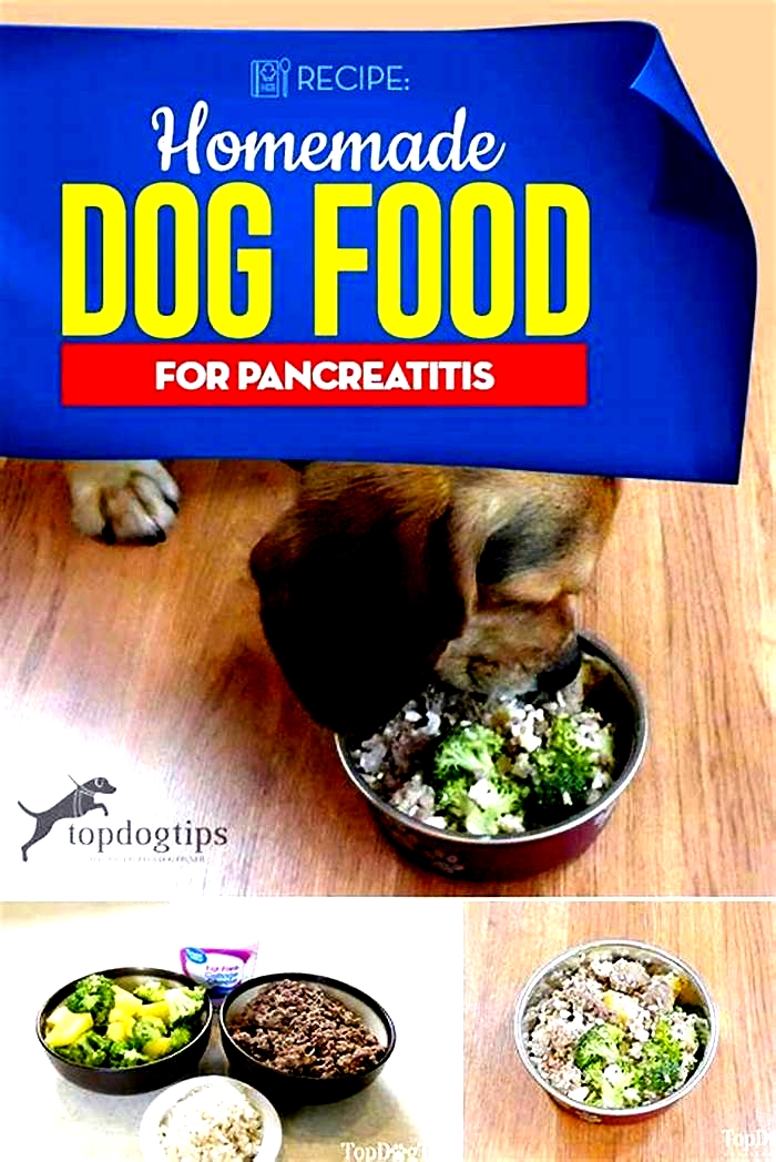 dog pancreatitis diet homemade recipes