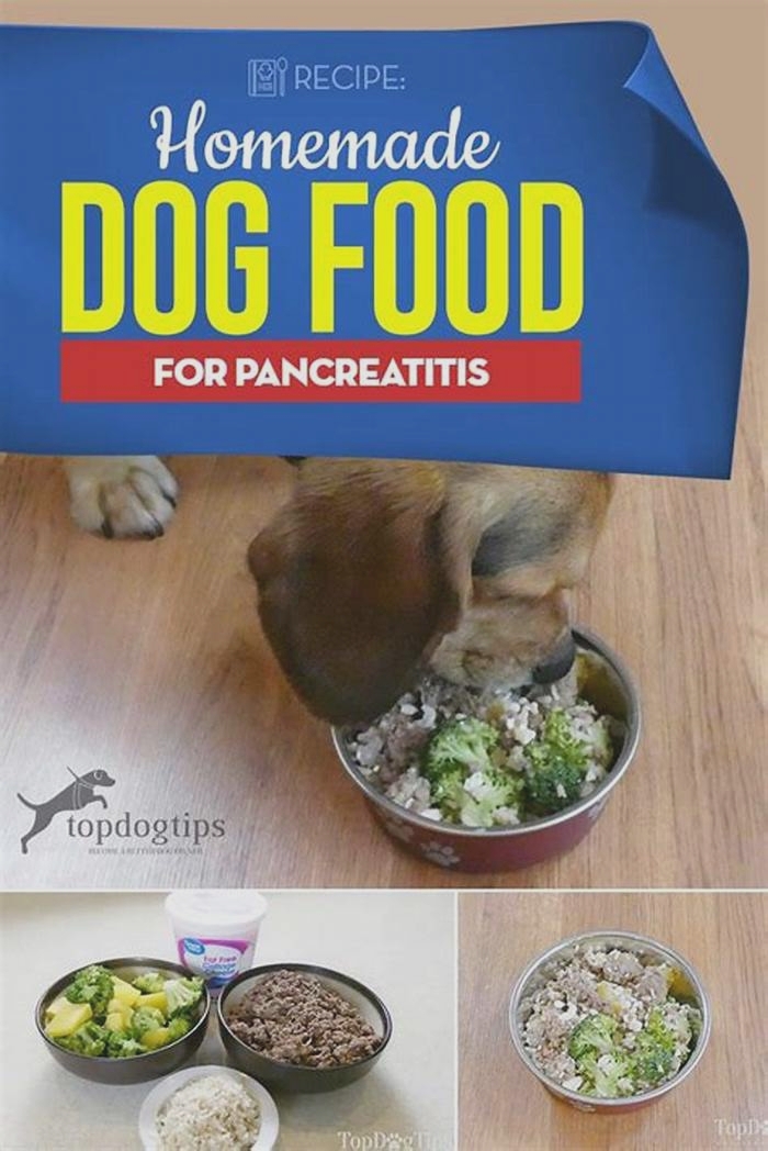 dog pancreatitis diet homemade