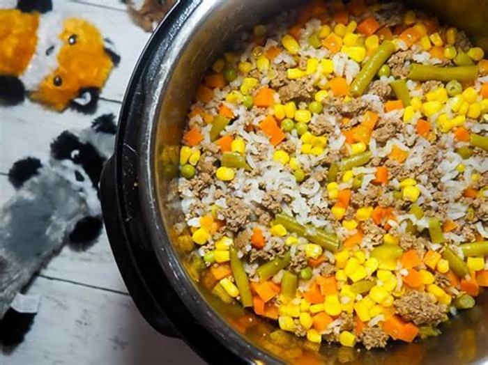 easy affordable homemade dog food