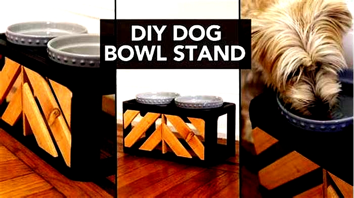 easy diy raised dog bowl stand