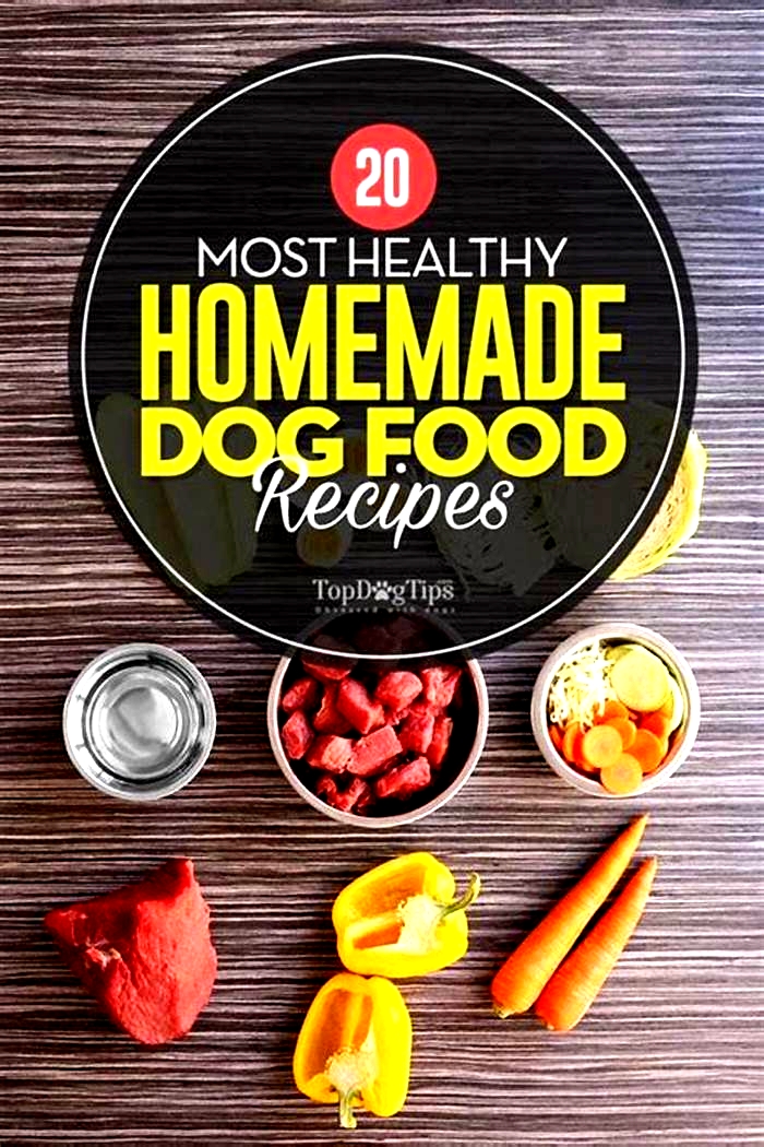 easy healthy homemade dog food recipes