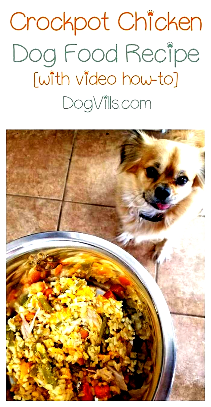 easy homemade dog food crockpot recipe with ground chicken