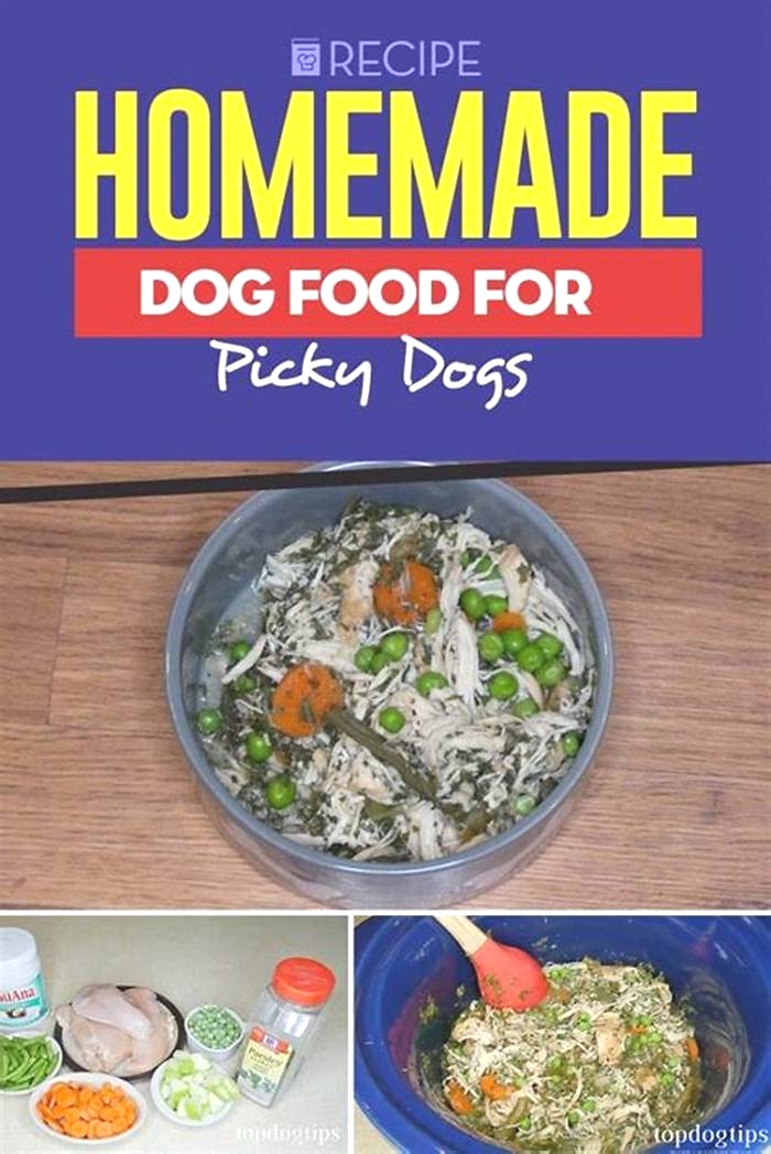 easy homemade dog food for picky eaters