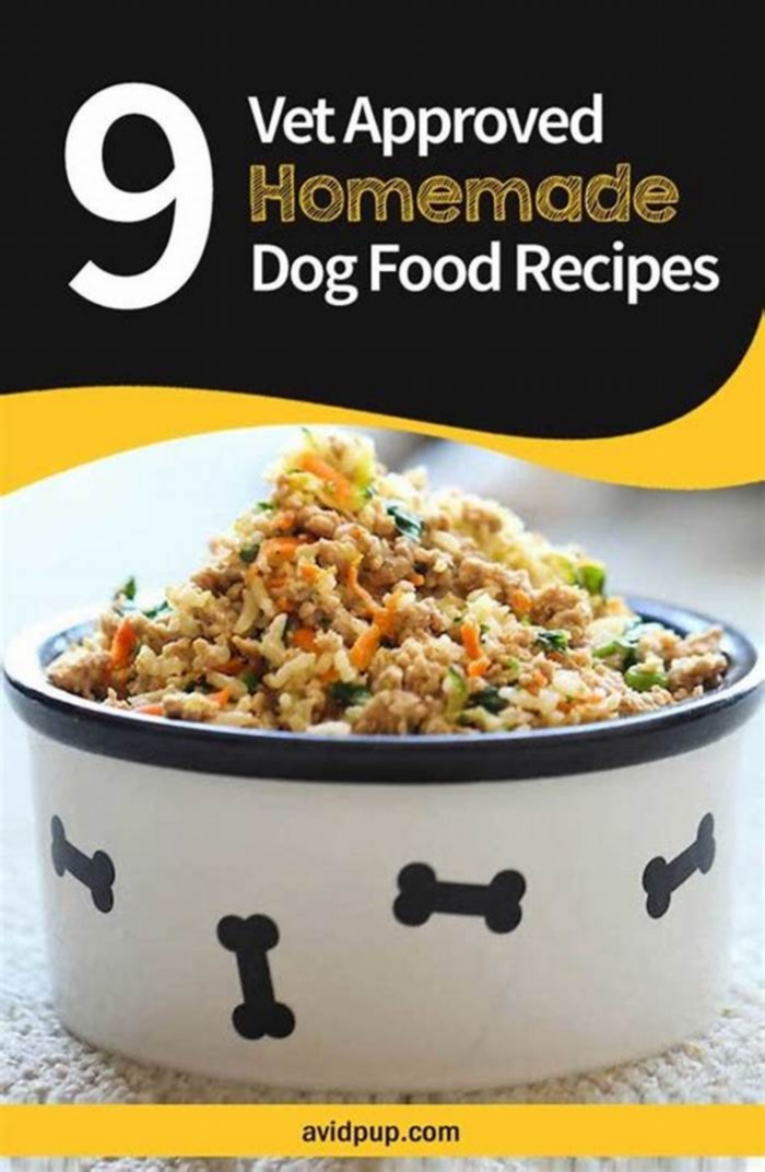 easy homemade dog food recipes vet approved uk