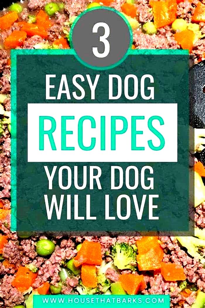 easy homemade dog food recipes vet approved