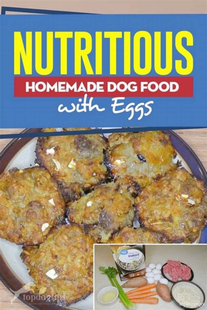 easy homemade dog food recipes with eggs