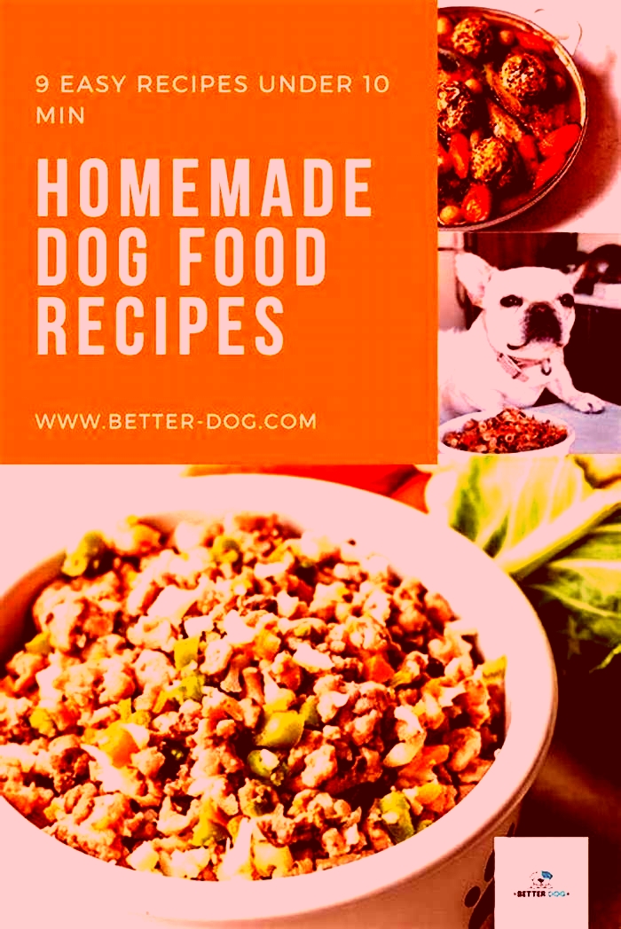 easy homemade dog food recipes