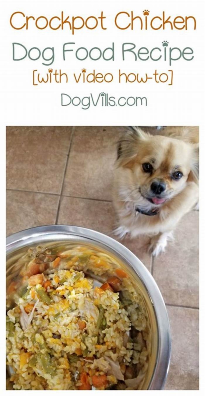 easy homemade dog food with chicken