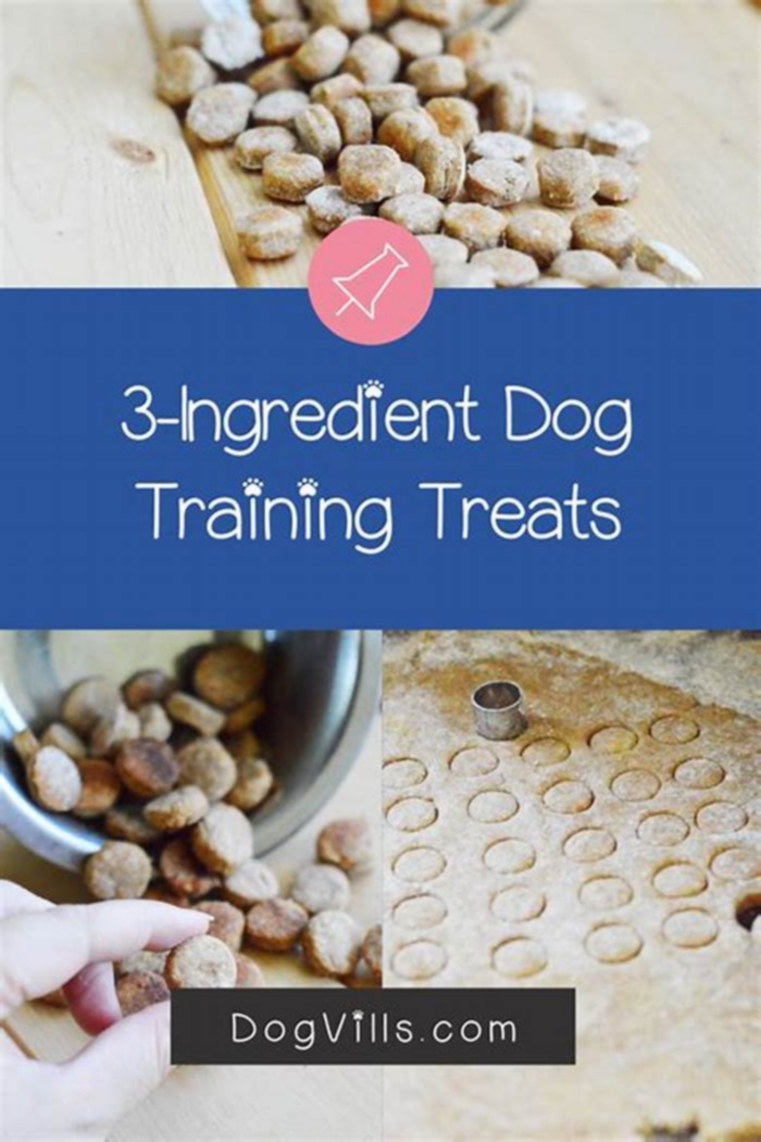 easy homemade dog training treats