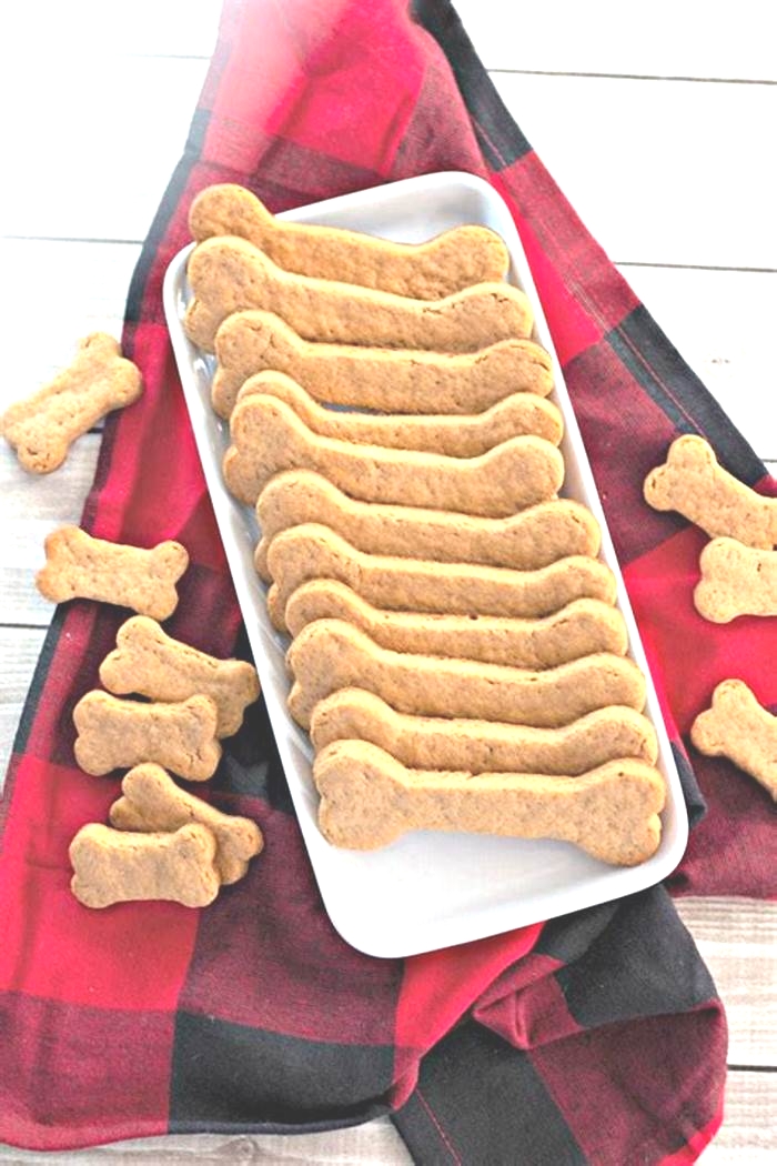 easy homemade dog treats for puppies