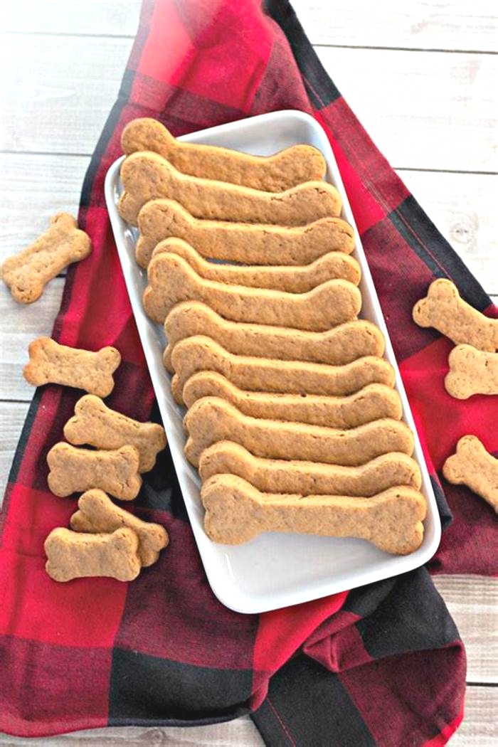 easy homemade dog treats healthy