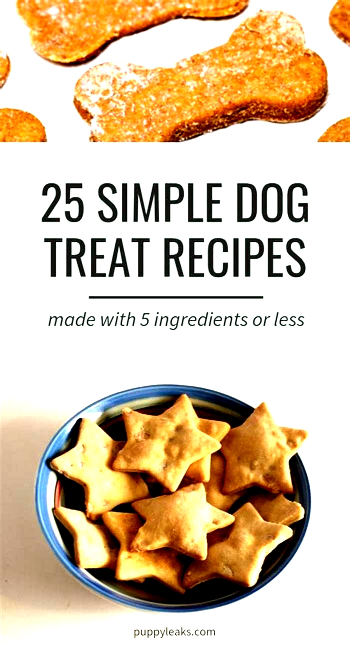 easy homemade dog treats no peanut butter