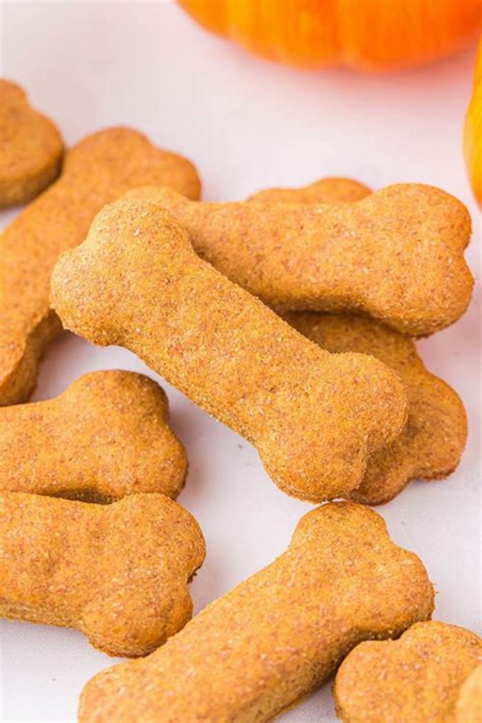 easy homemade dog treats pumpkin