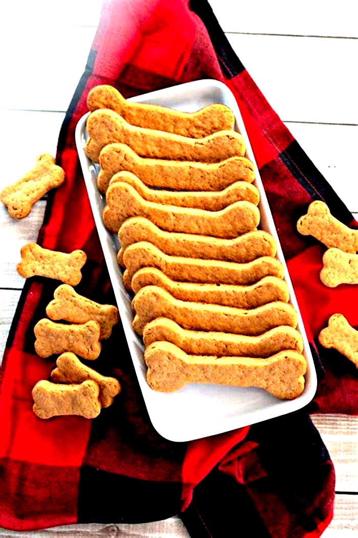 easy homemade dog treats recipes vet approved uk