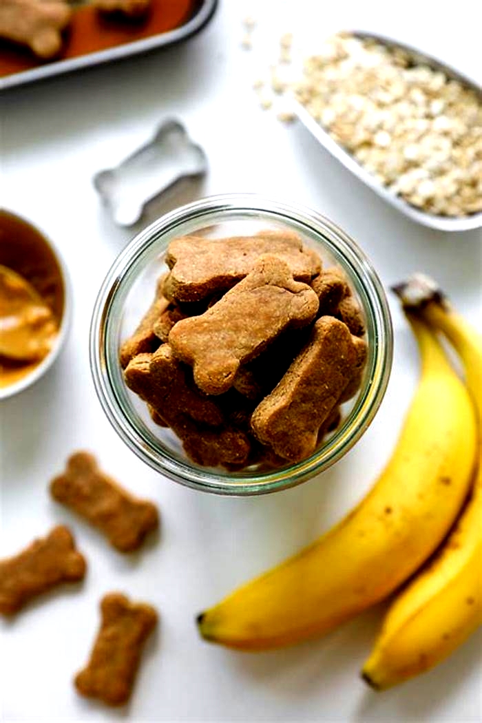 easy homemade dog treats with bananas